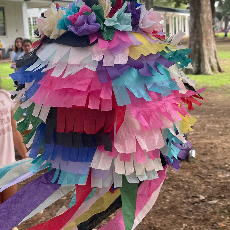 Custom Piñata